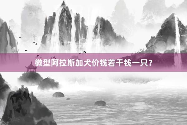 微型阿拉斯加犬价钱若干钱一只？